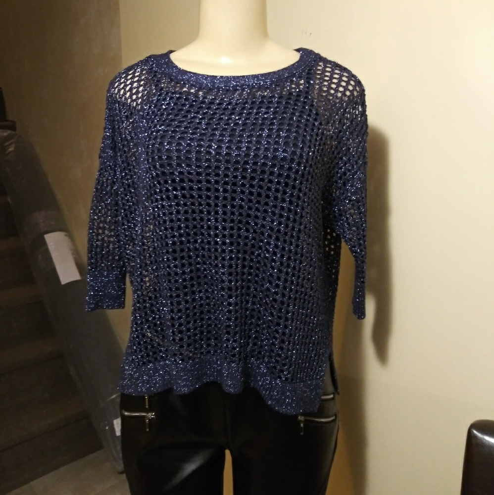 Express shimmer sweater